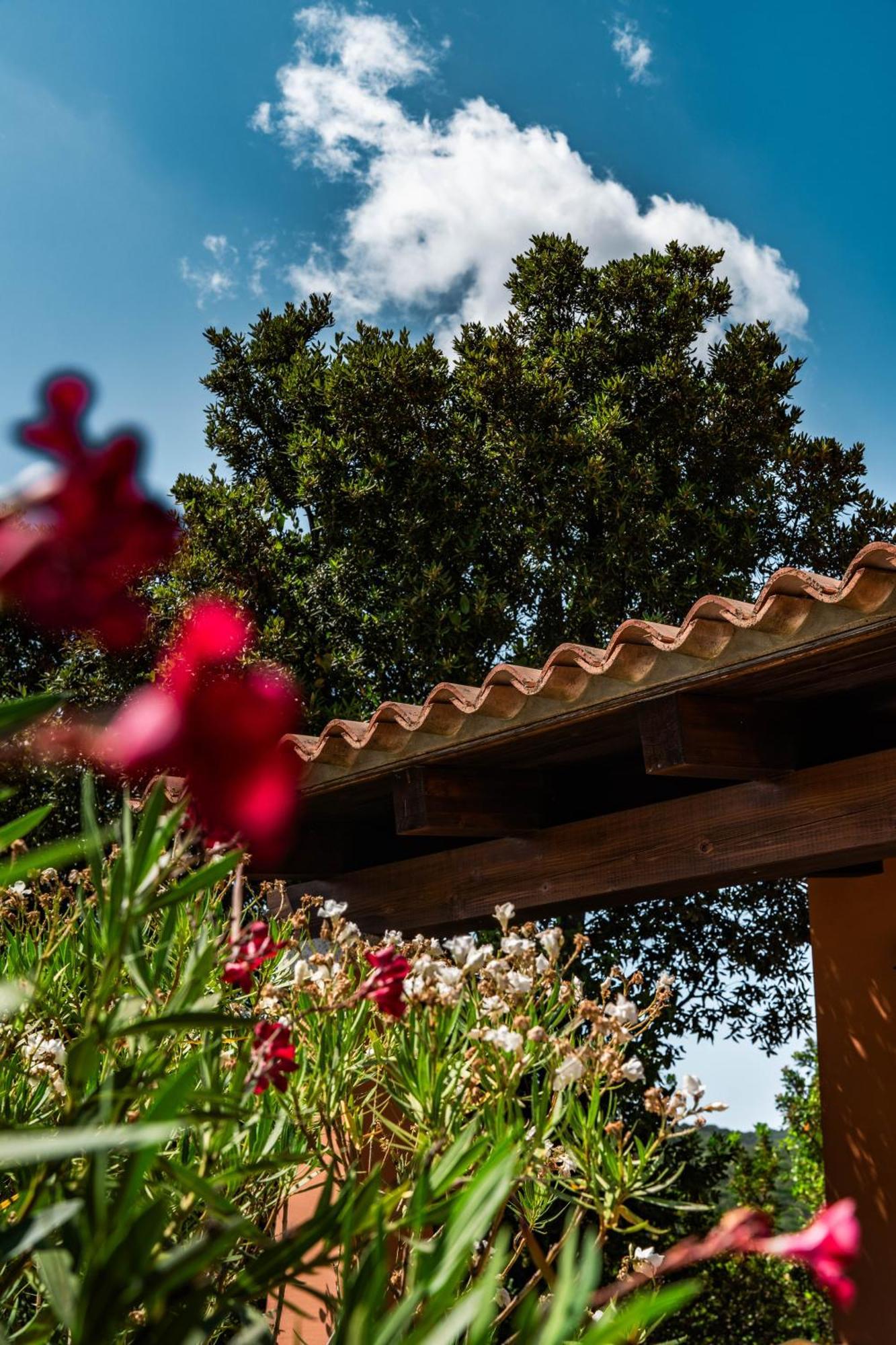 Casagliana Suite Resort Olbia Ngoại thất bức ảnh