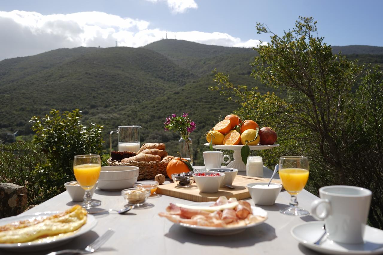 Casagliana Suite Resort Olbia Ngoại thất bức ảnh