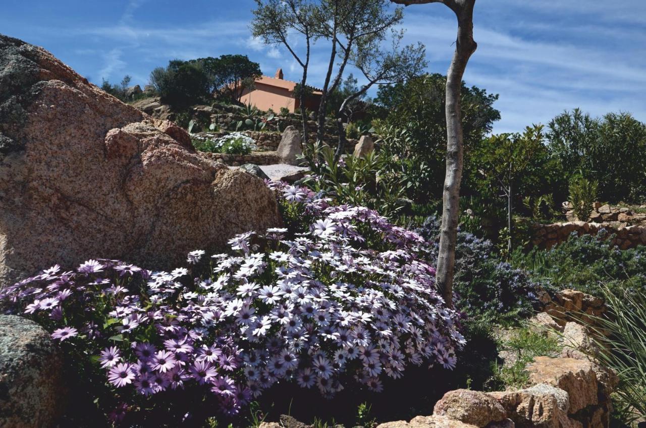 Casagliana Suite Resort Olbia Ngoại thất bức ảnh
