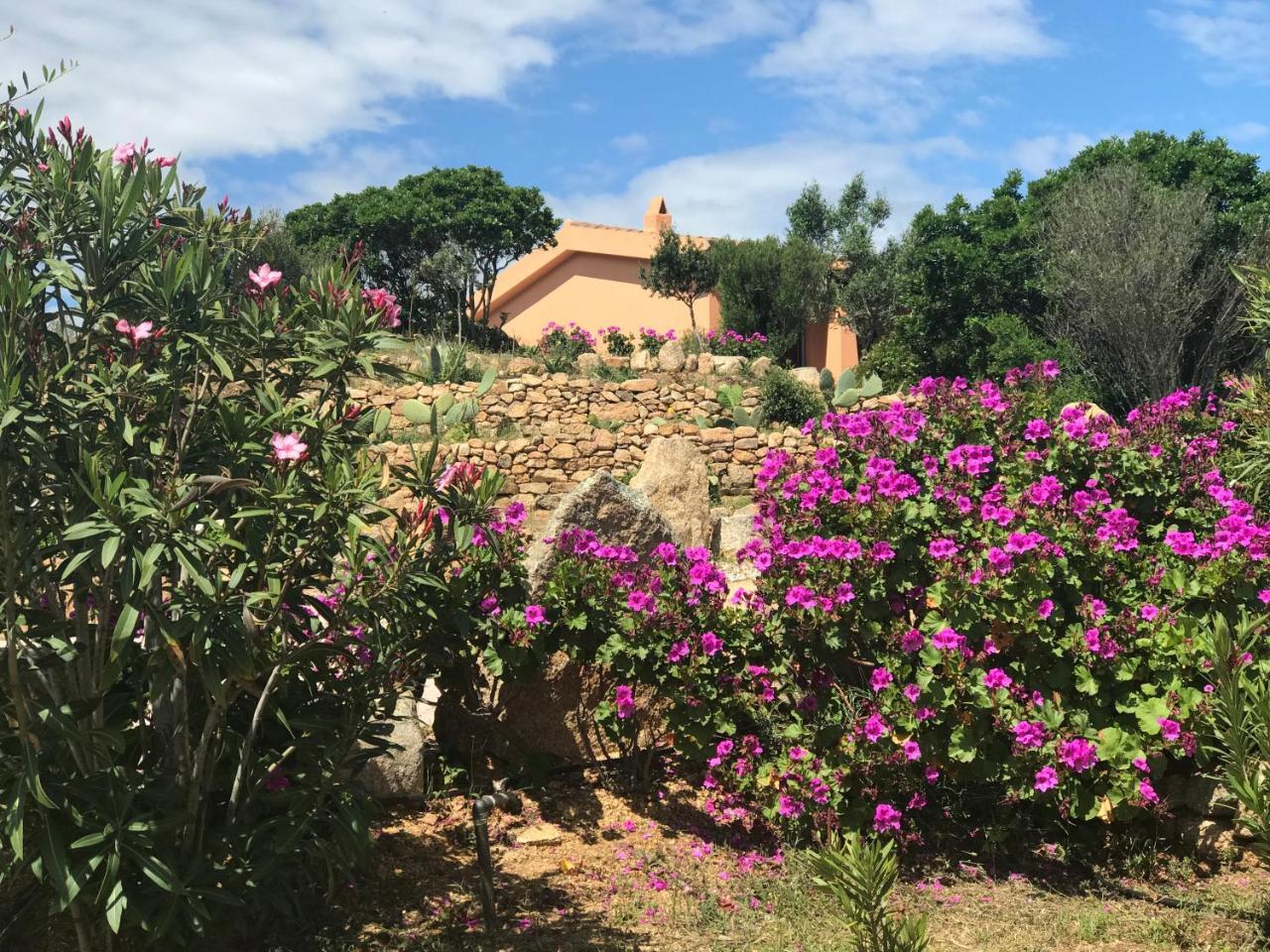 Casagliana Suite Resort Olbia Ngoại thất bức ảnh